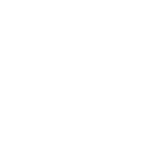 OVnyl : disque vinyle personnalisé à l’unité